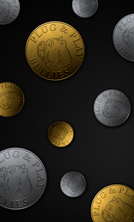 A collection of gold and silver coins arranged against a luxurious black background.