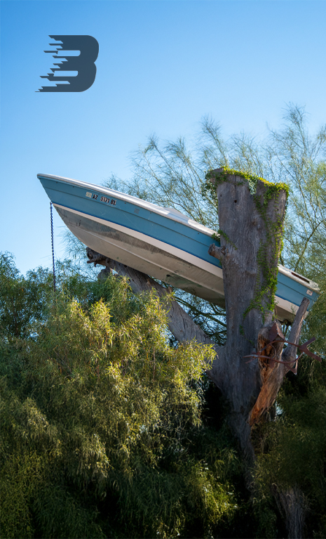 A blue boat is stuck at the top of a chopped-down tree.